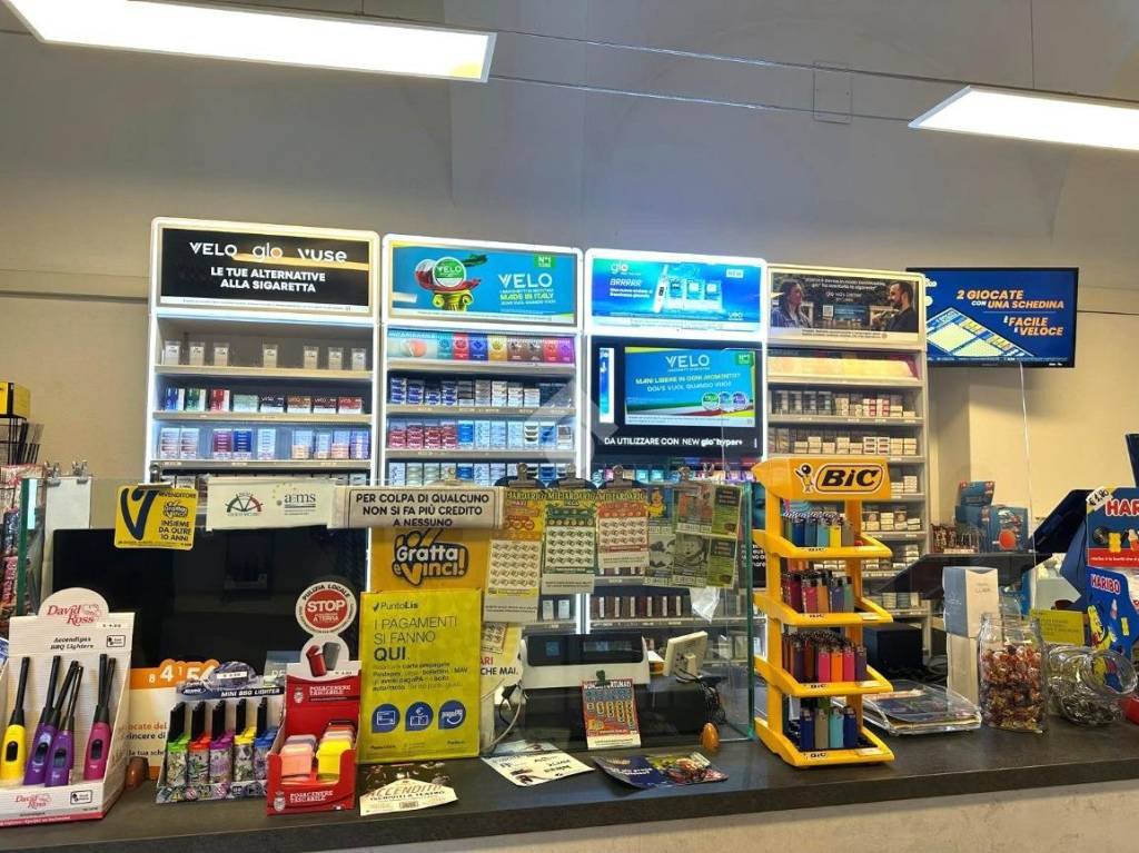 immagine annuncio 9 di 15