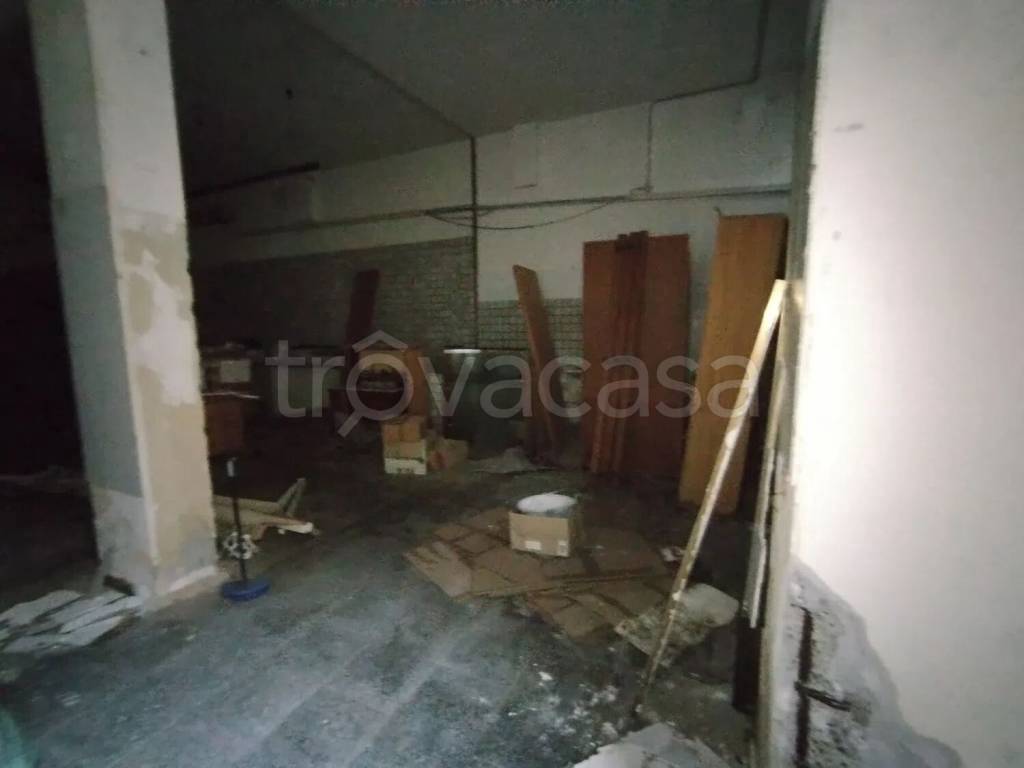 immagine annuncio 2 di 12