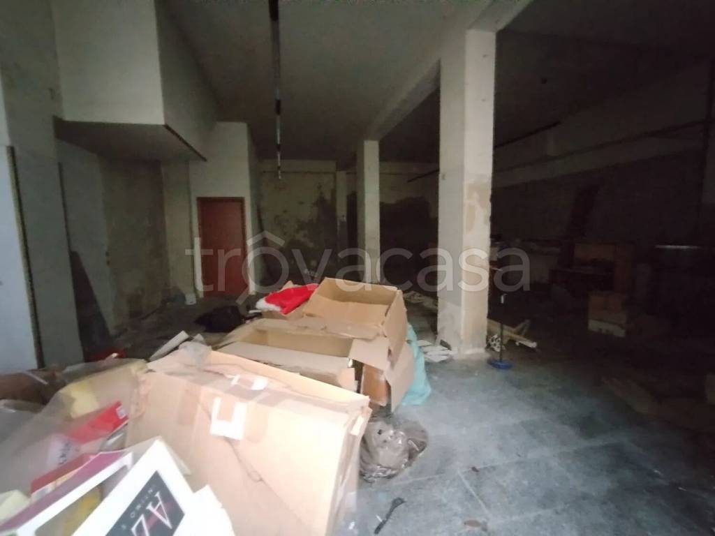 immagine annuncio 3 di 12