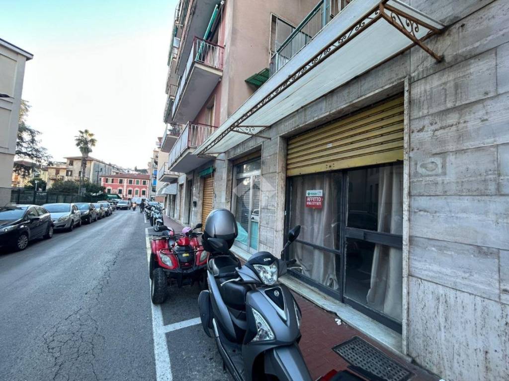 immagine annuncio 4 di 14