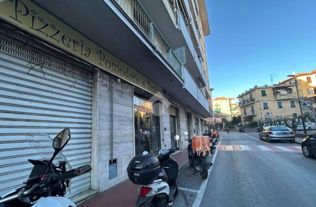 immagine annuncio 5 di 14