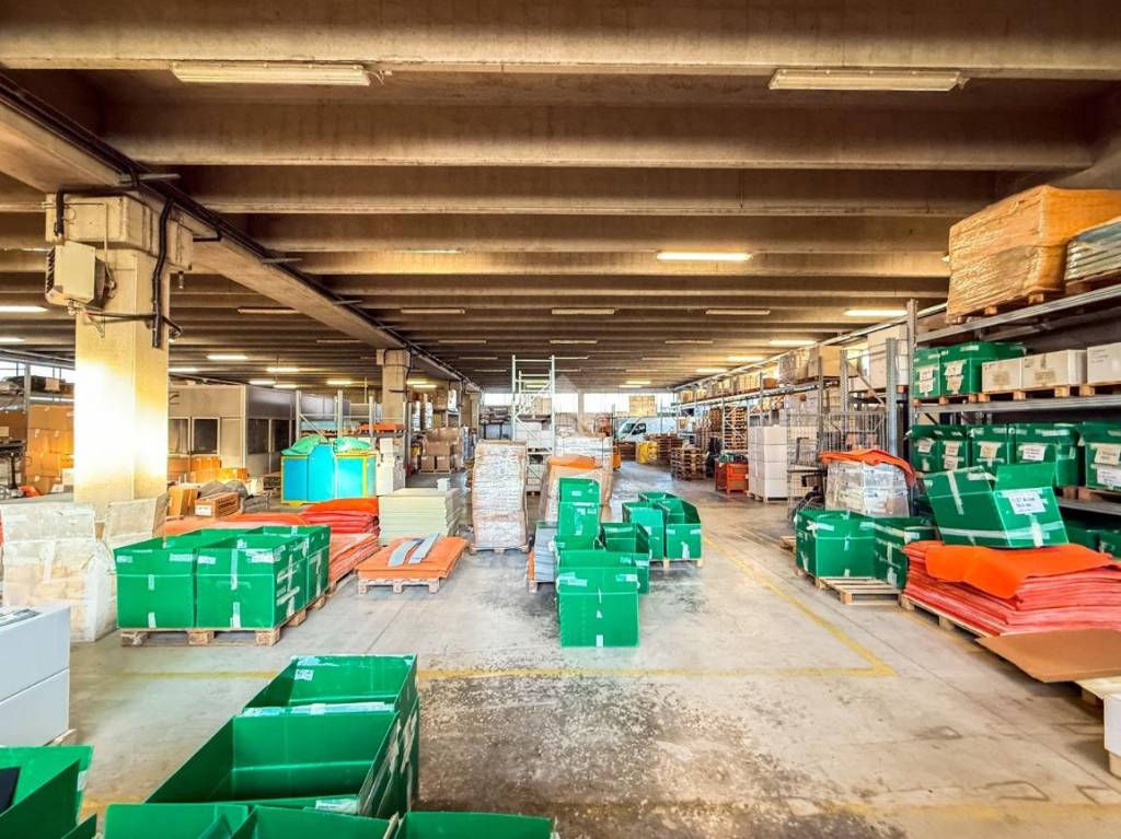 immagine annuncio 4 di 15