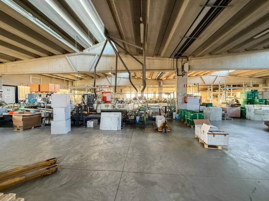 immagine annuncio 9 di 15