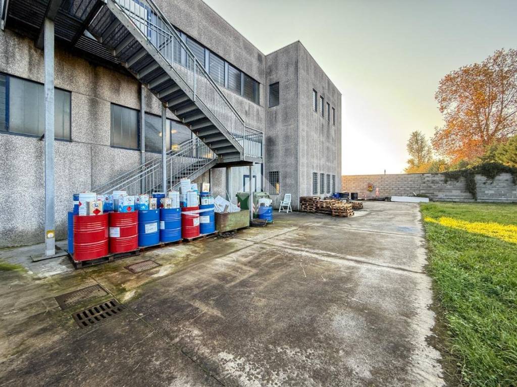 immagine annuncio 11 di 15