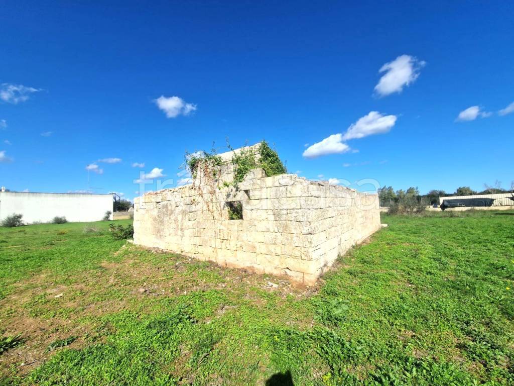 immagine annuncio 1 di 8