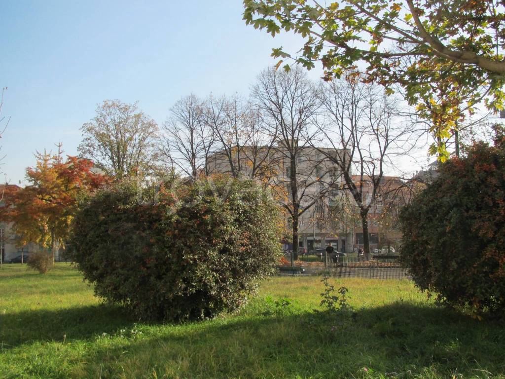 immagine annuncio 12 di 14