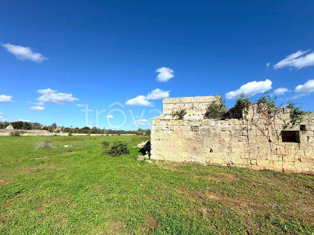 immagine annuncio 2 di 8