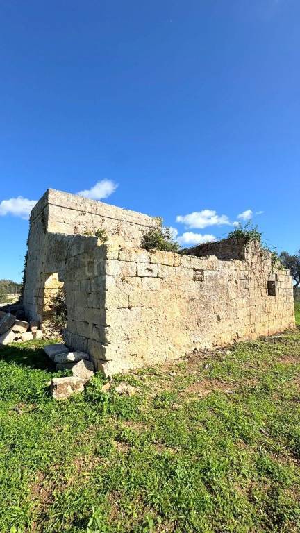 immagine annuncio 3 di 8