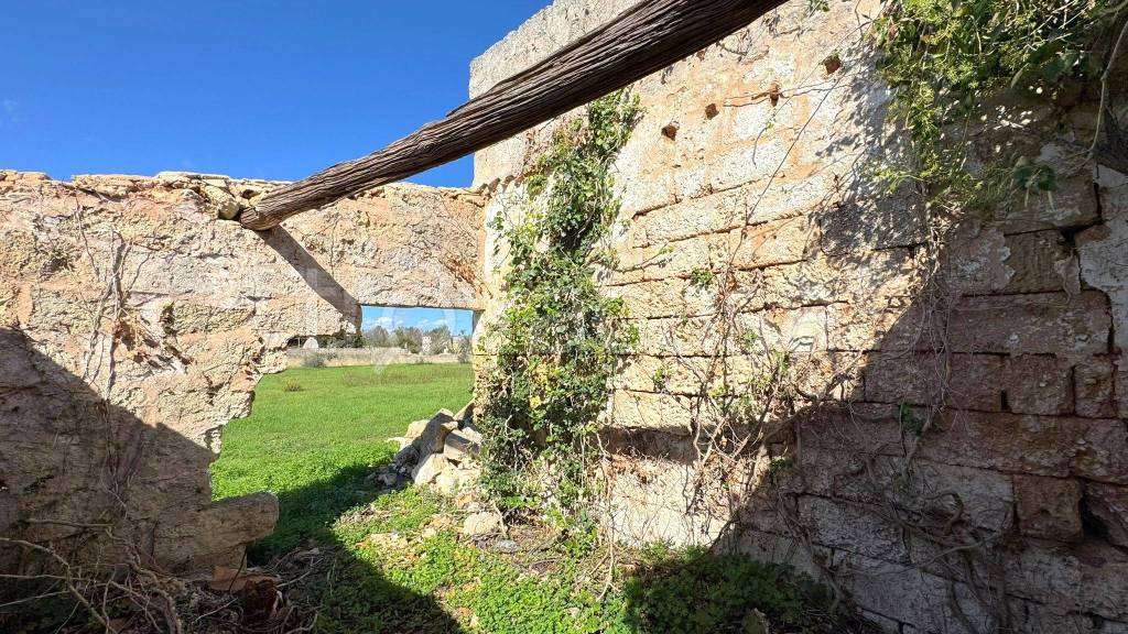 immagine annuncio 4 di 8