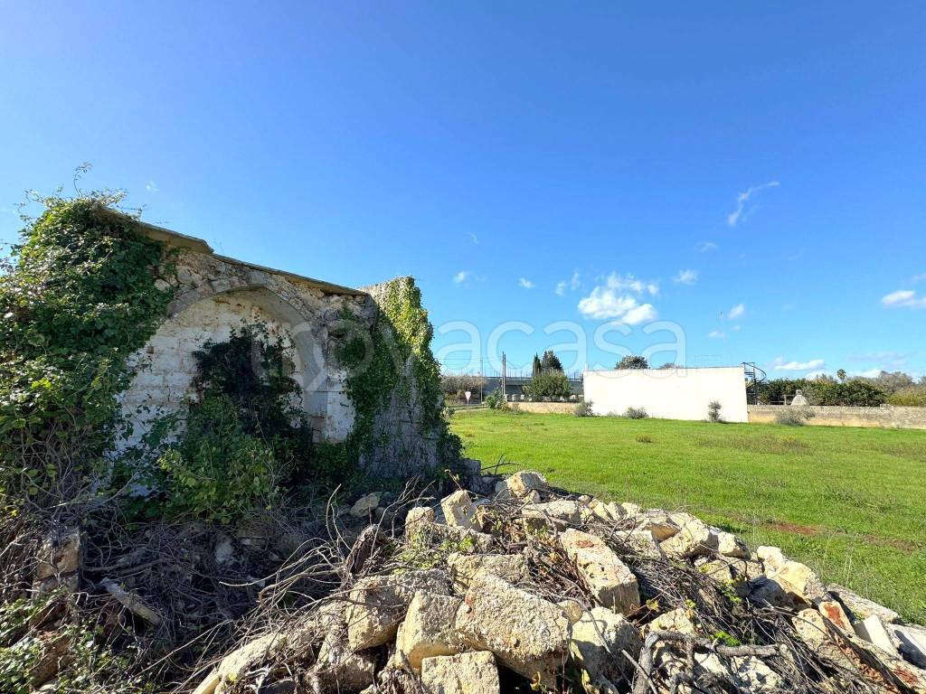 immagine annuncio 7 di 8