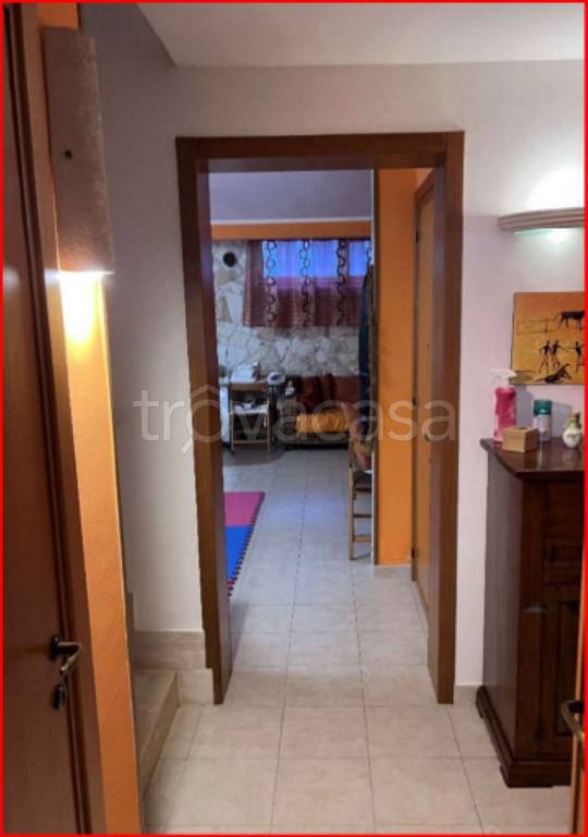 immagine annuncio 9 di 11