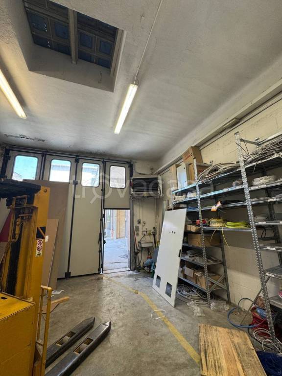 immagine annuncio 11 di 15