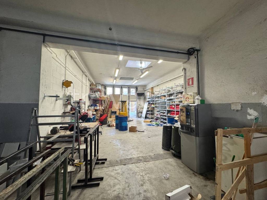 immagine annuncio 4 di 15