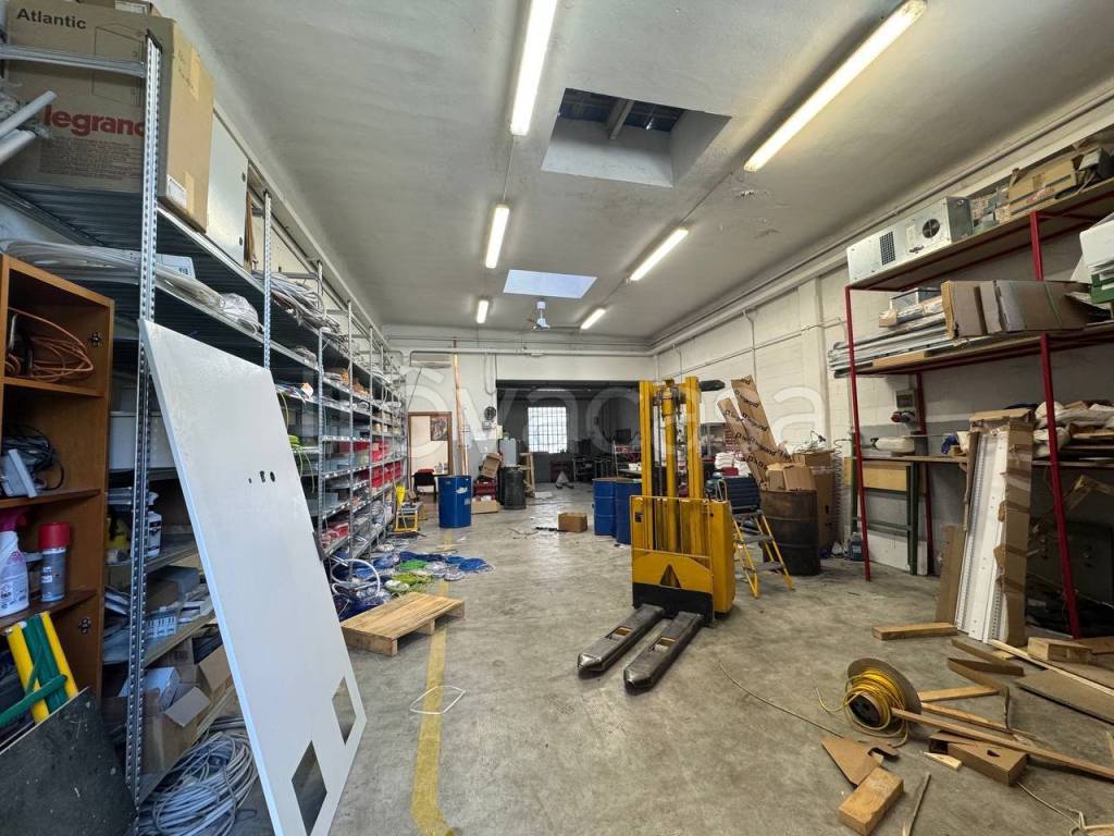 immagine annuncio 3 di 15