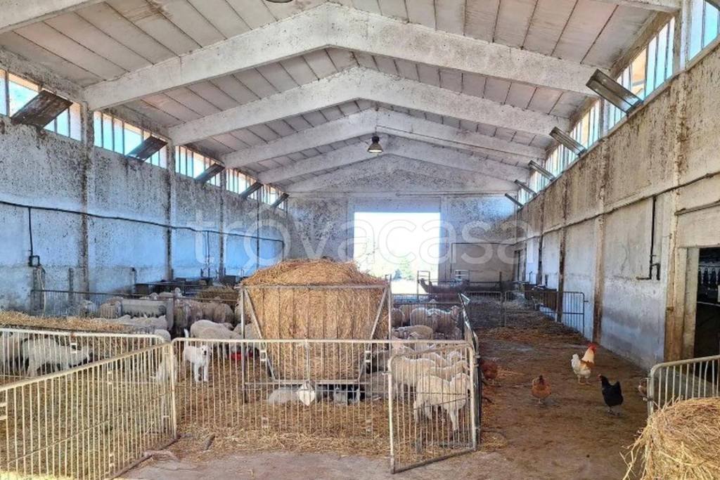 immagine annuncio 2 di 11