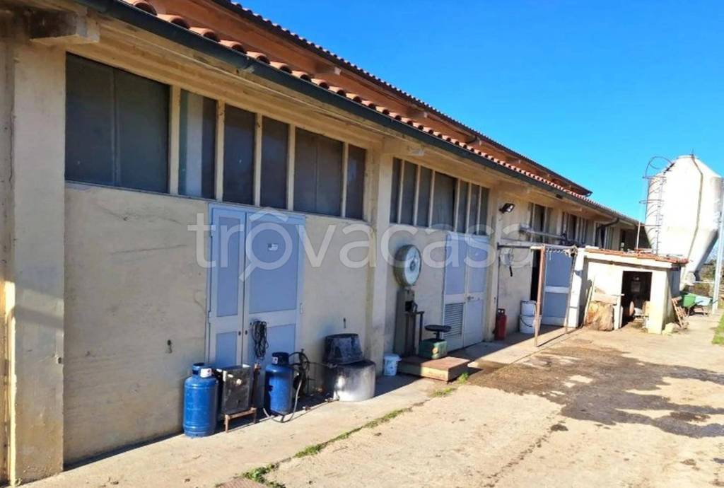 immagine annuncio 3 di 11