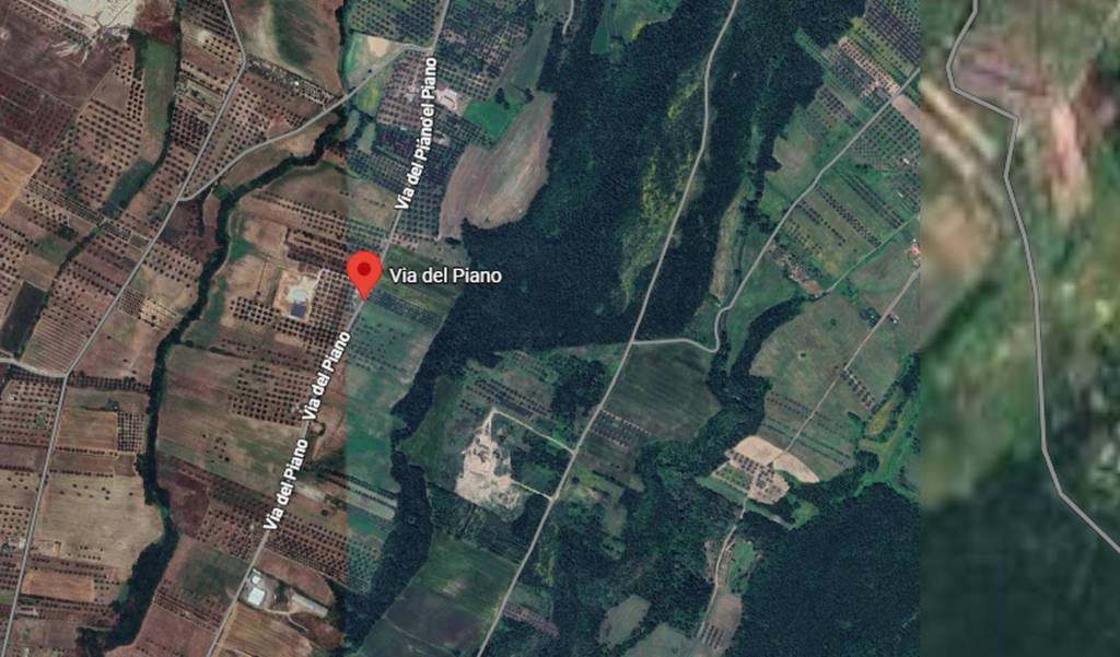 immagine annuncio 5 di 11