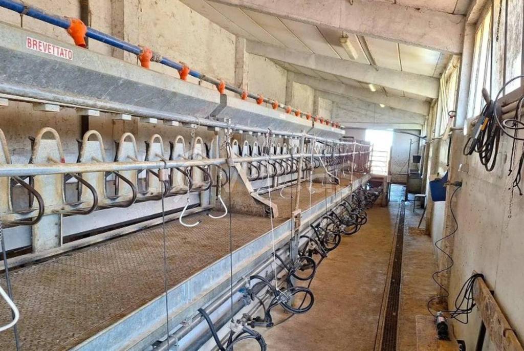 immagine annuncio 9 di 11