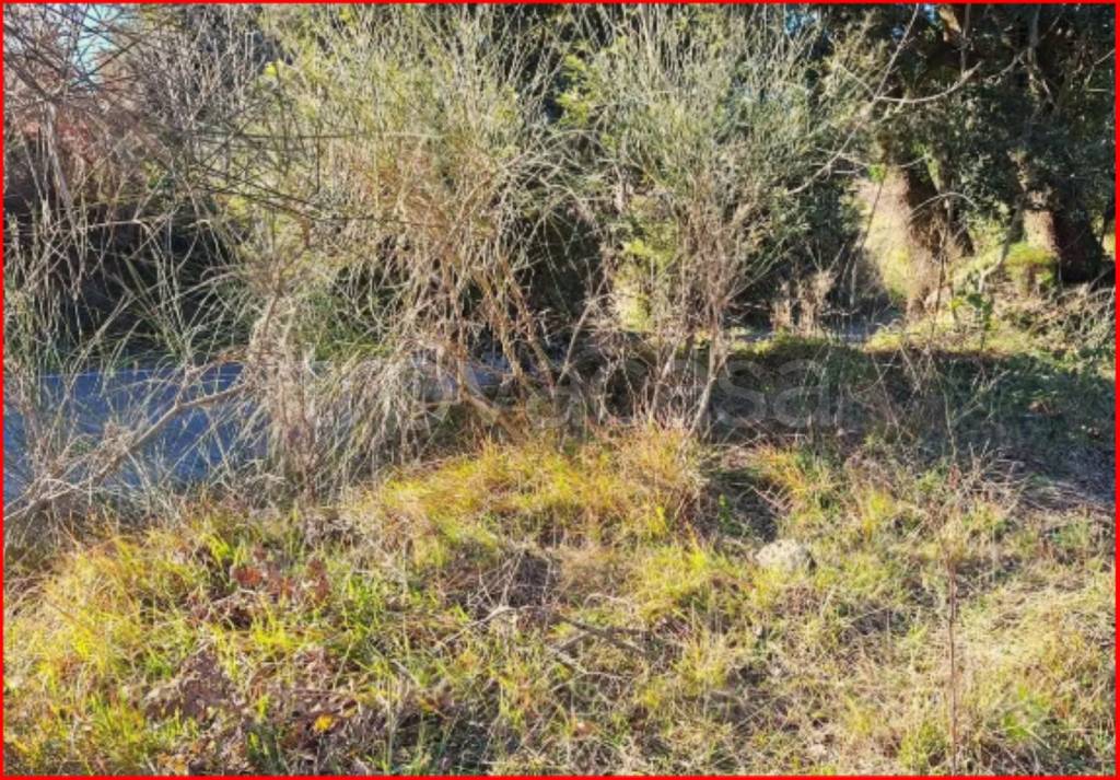 immagine annuncio 7 di 11