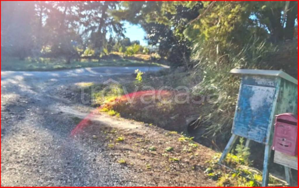 immagine annuncio 9 di 11