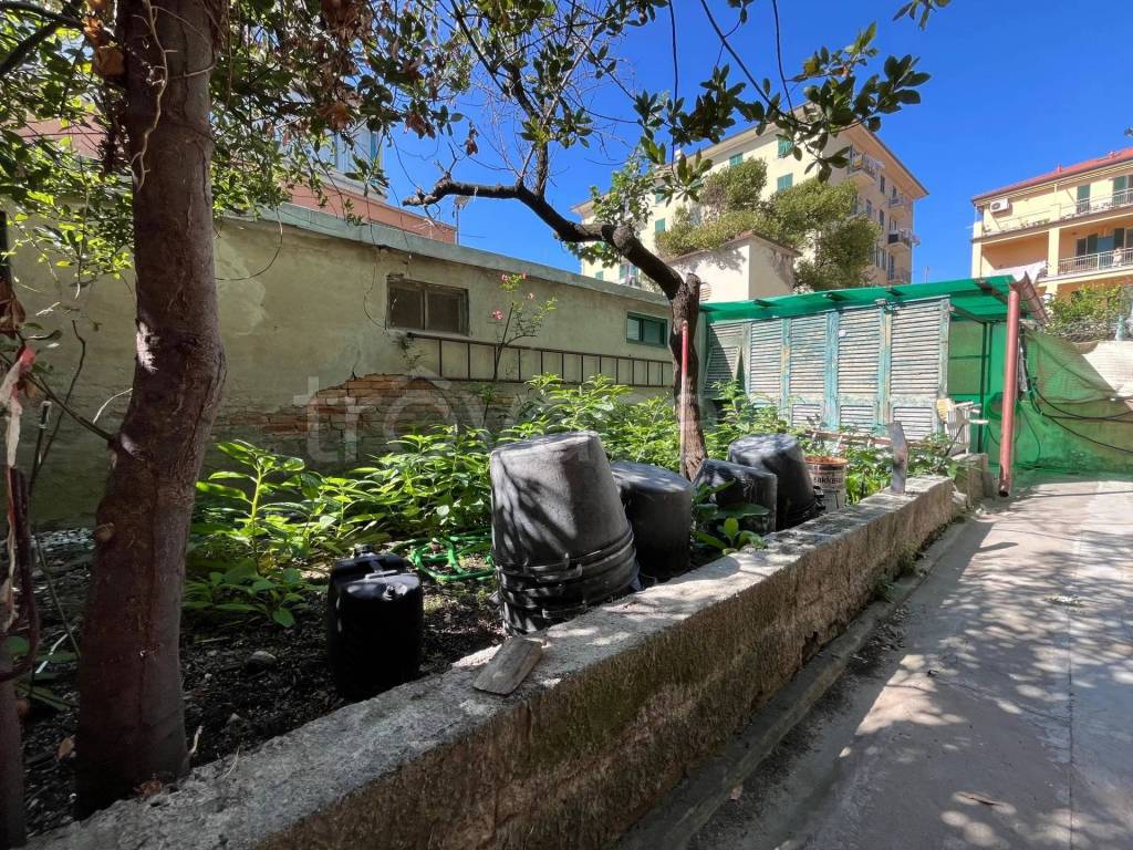 immagine annuncio 8 di 12