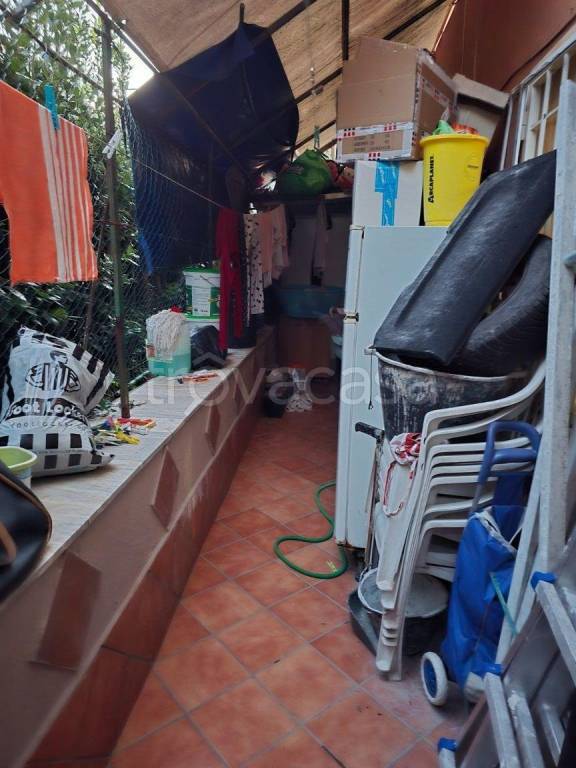 immagine annuncio 3 di 14