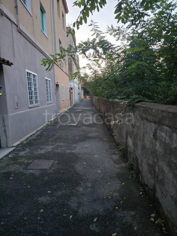 immagine annuncio 5 di 14