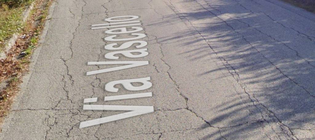 immagine annuncio 2 di 11