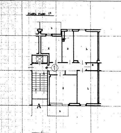 immagine annuncio 7 di 11