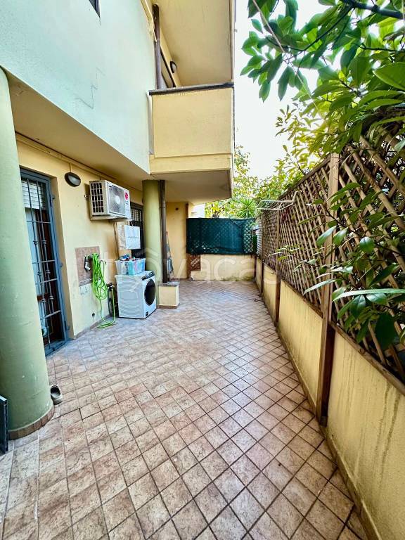 immagine annuncio 5 di 12