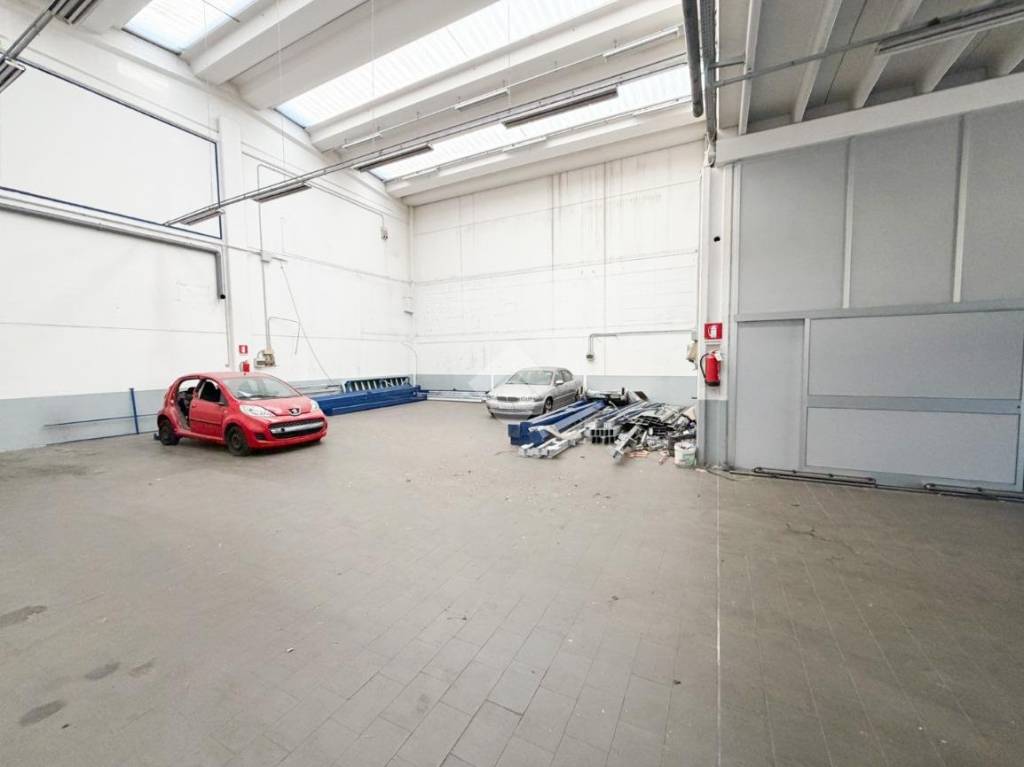 immagine annuncio 1 di 15