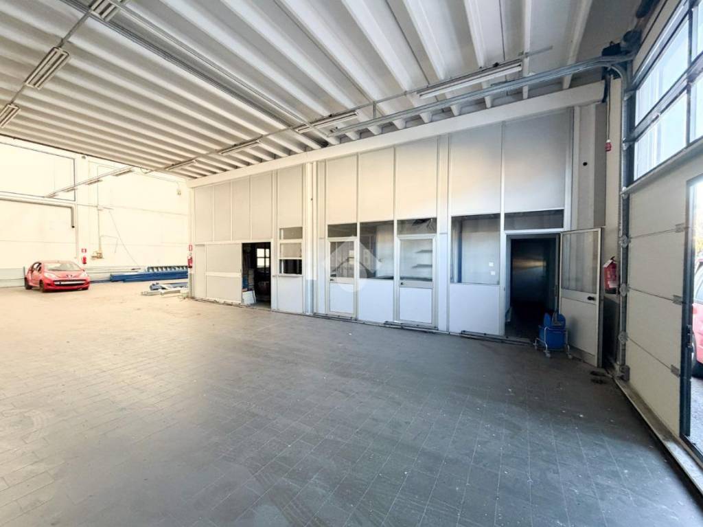 immagine annuncio 3 di 15