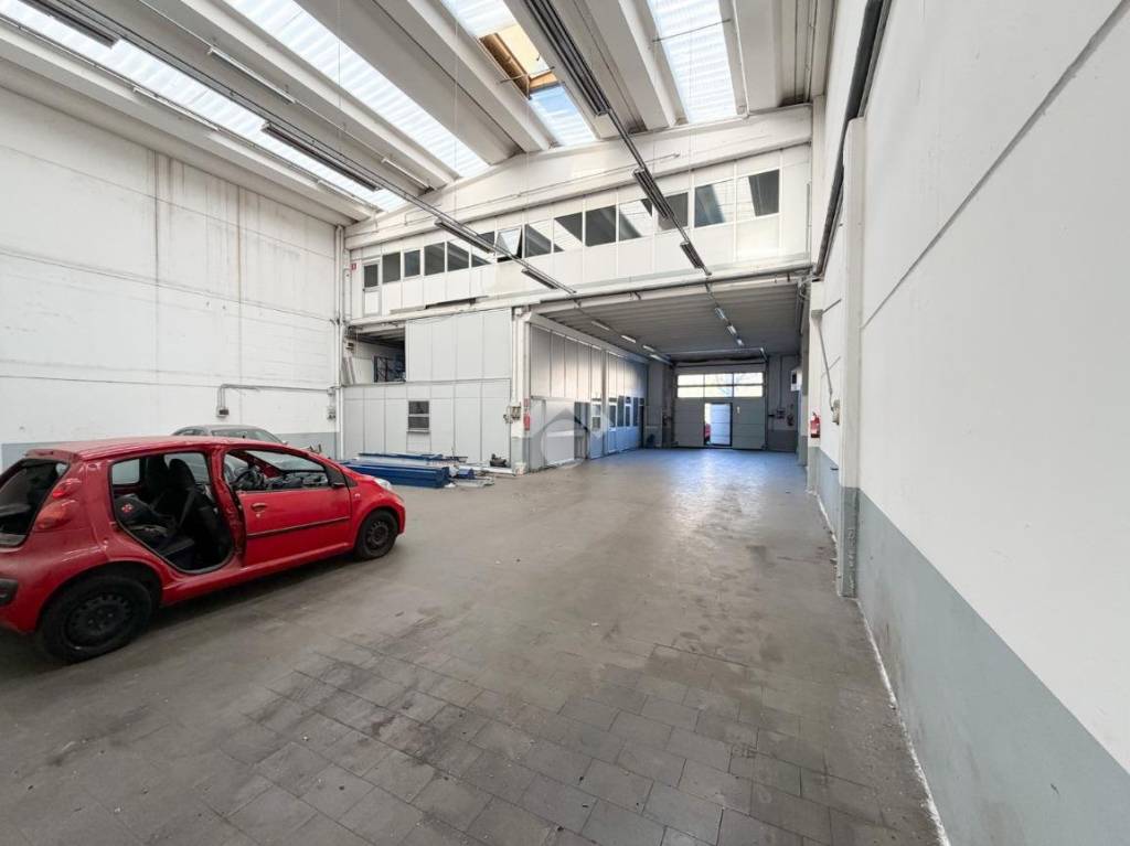 immagine annuncio 6 di 15