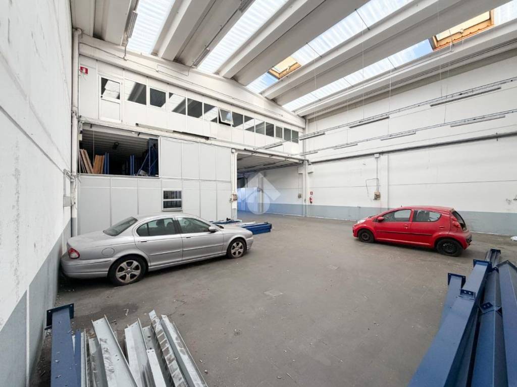 immagine annuncio 9 di 15