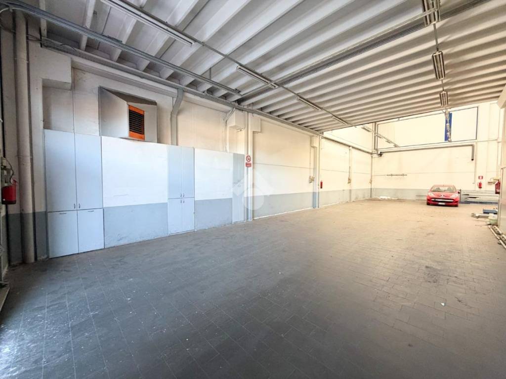 immagine annuncio 12 di 15