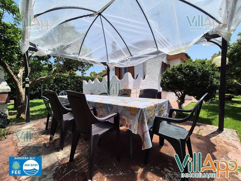 immagine annuncio 12 di 15