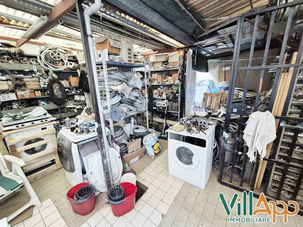 immagine annuncio 11 di 15