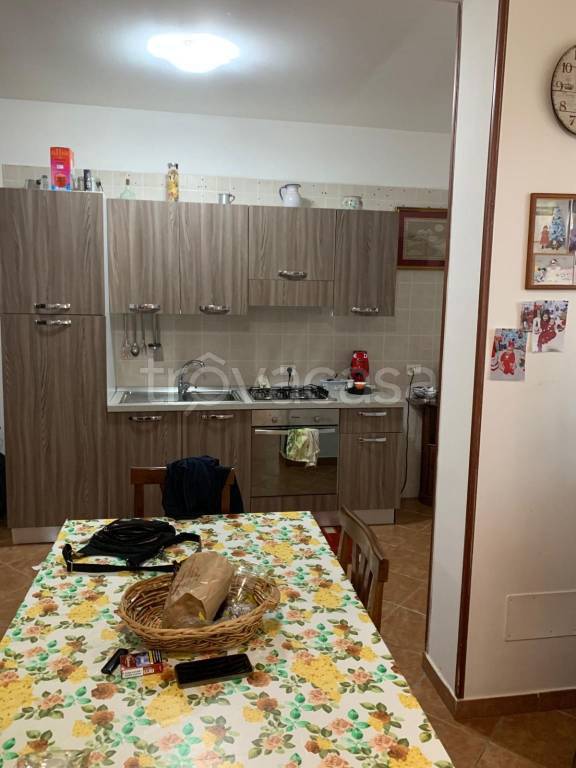 immagine annuncio 10 di 14