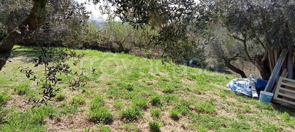 immagine annuncio 2 di 9