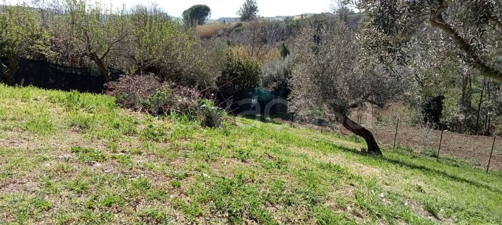 immagine annuncio 3 di 9