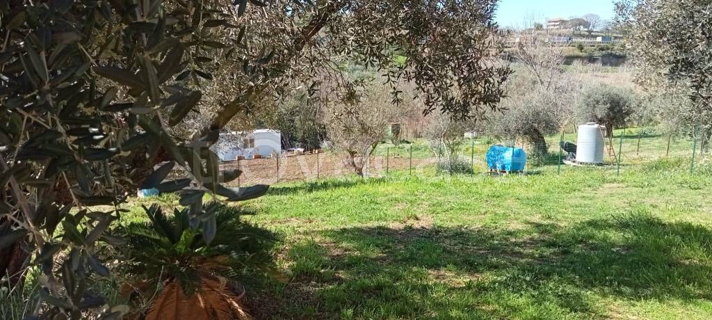 immagine annuncio 4 di 9