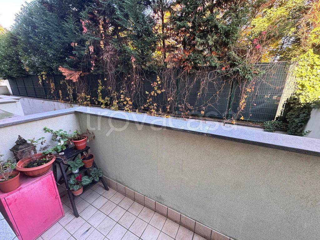 immagine annuncio 11 di 14