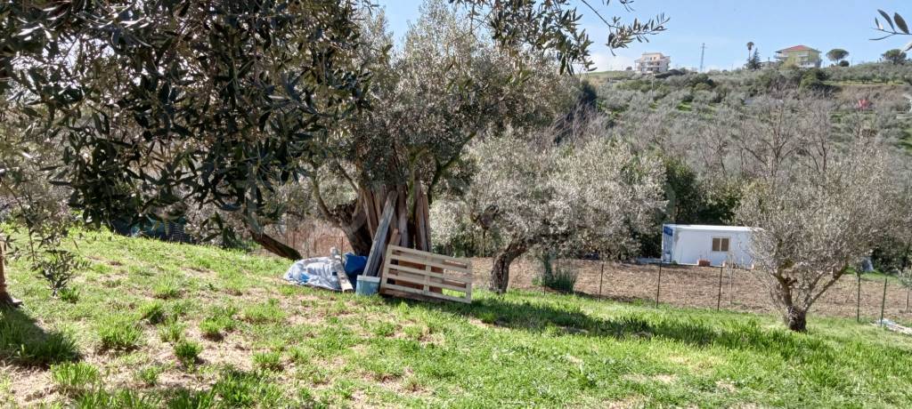 immagine annuncio 7 di 9