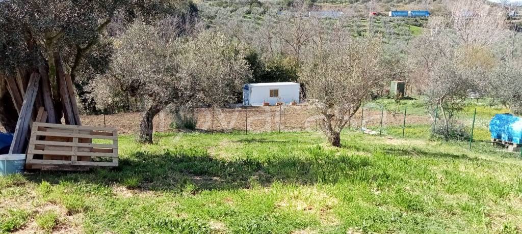 immagine annuncio 1 di 9