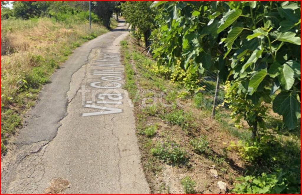 immagine annuncio 5 di 14