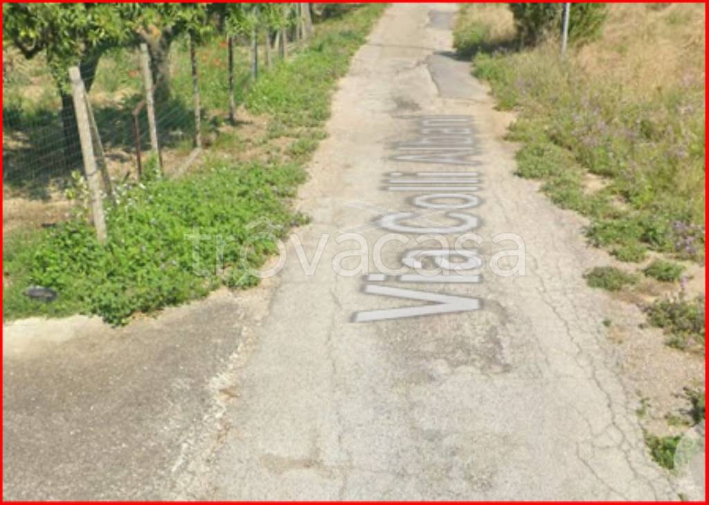 immagine annuncio 6 di 14