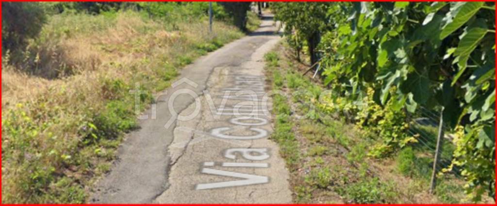 immagine annuncio 7 di 14