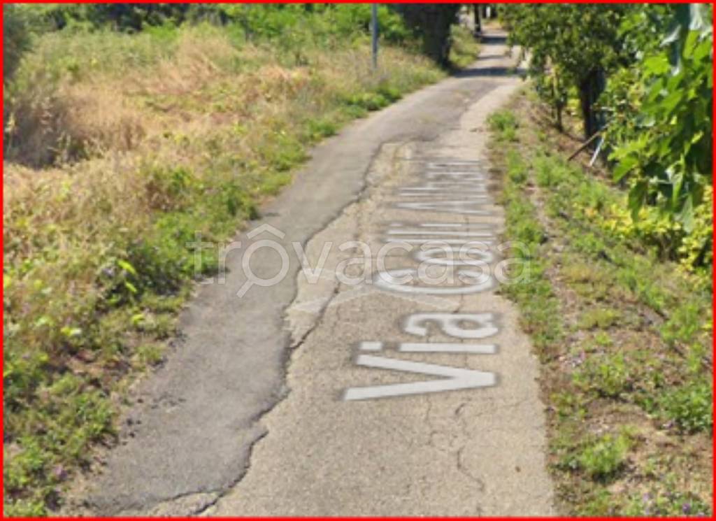 immagine annuncio 8 di 14