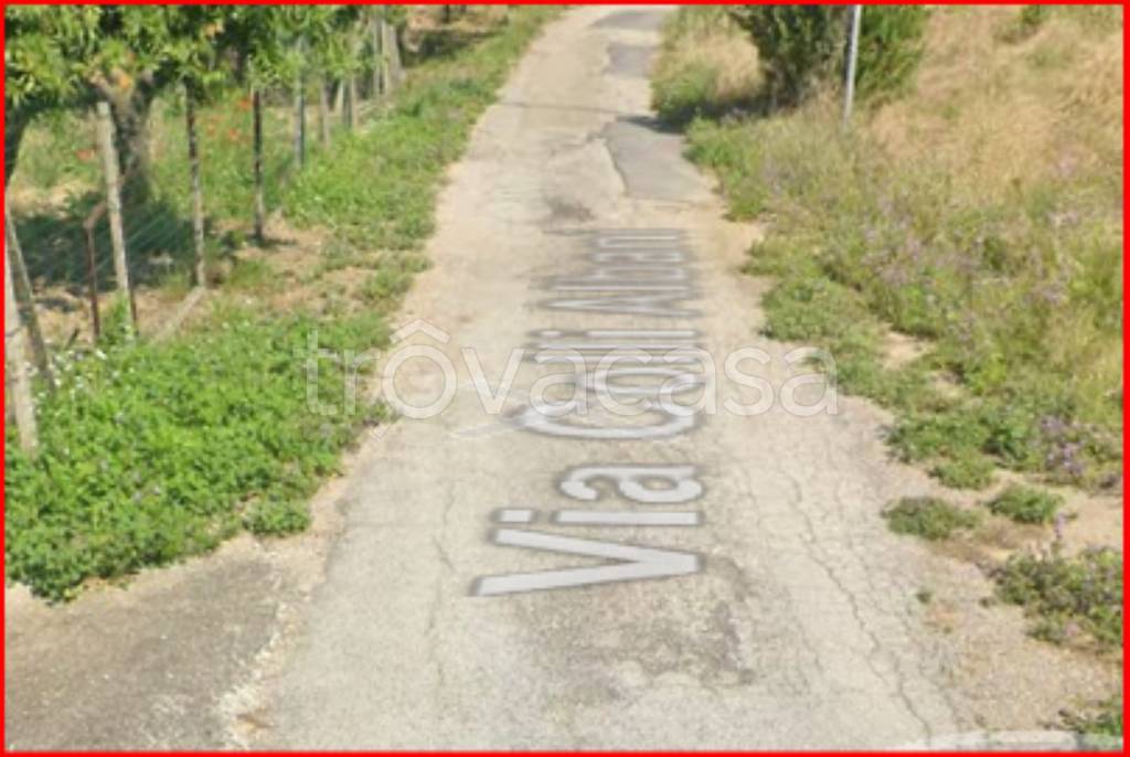 immagine annuncio 9 di 14