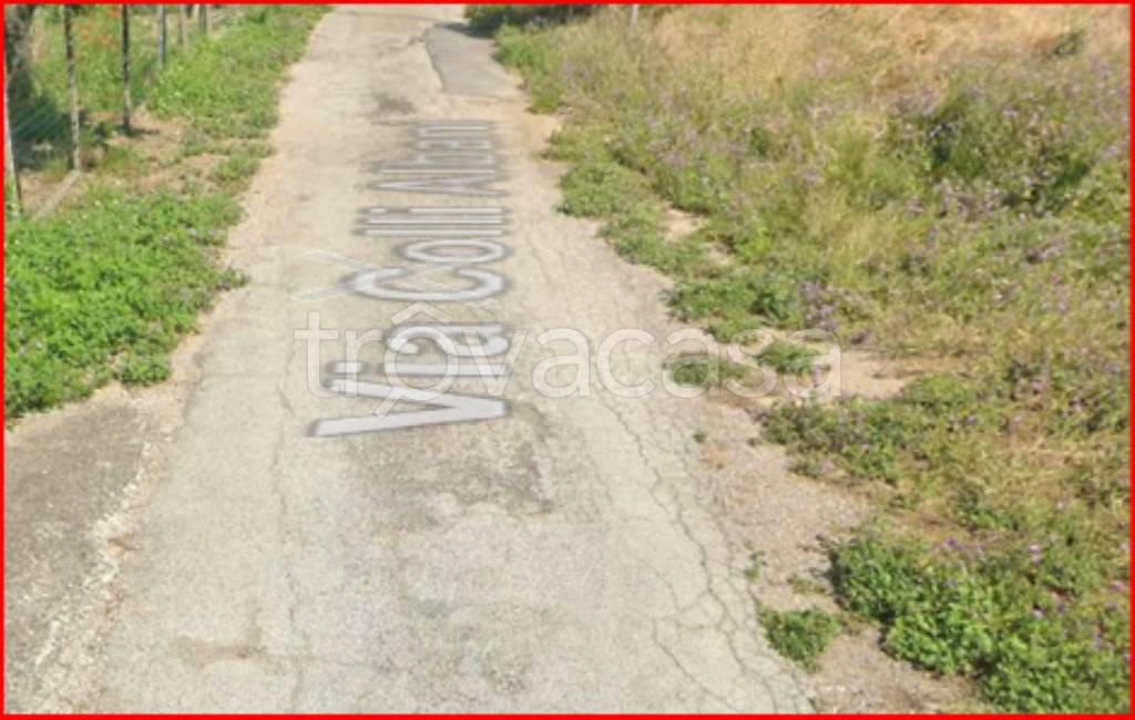 immagine annuncio 10 di 14